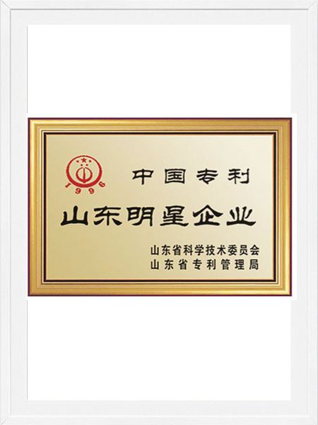 山東明星企業